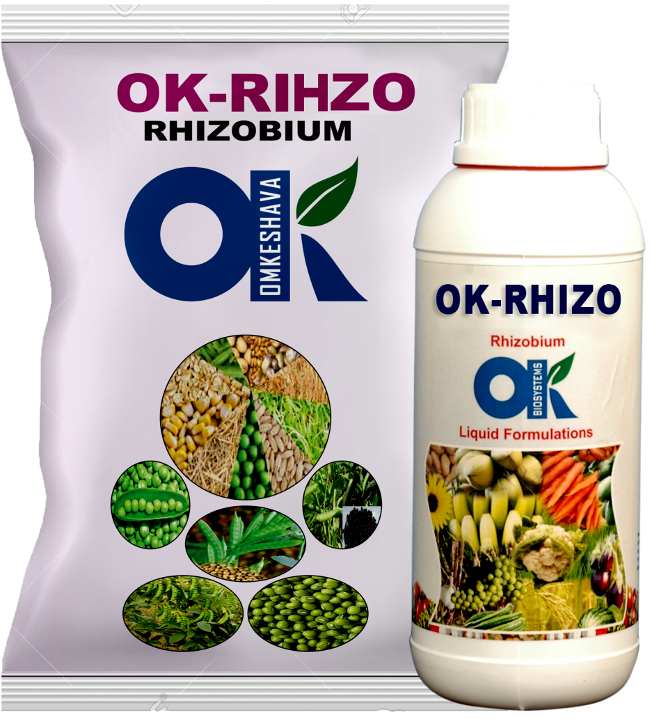 RHIZO
